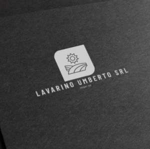 Logo Lavarino Umberto Srl   