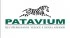Logo Patavium Lecce