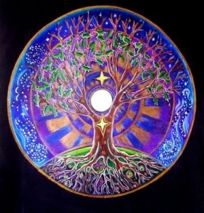 Logo Dott. Giannantonio Cassisi