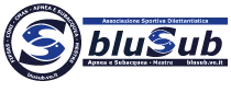 Logo BluSub Asd