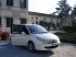 Logo Amelio Drigo Servizio Taxi