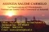 Logo Agenzia Salemi Carmelo