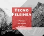 Logo Tecno Felsinea Srl