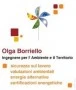 Logo Ing. Olga Borriello