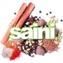 Logo Saini Srl