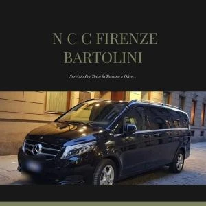 Logo Taxi Ncc Firenze Bartolini 