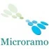 Logo Microramo Srl