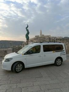 Logo Sassi Service di Torraco Cosimo