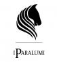 Logo Paralumi di Piva Aguiari Stefano