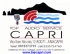 Logo Top Audio Service Capri di Marcello Bottiglieri  