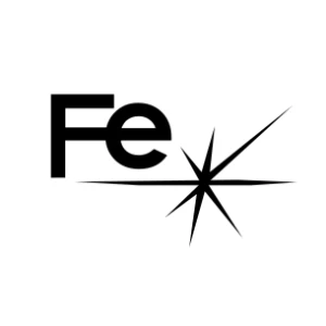 Logo FE Snc di Forlani Andrea & C. 