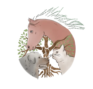 Logo Lancellotti Cinzia