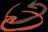 Logo Dott. Giulio De Santis