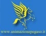 Logo Iodice Marco