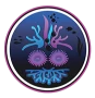 Logo Reef Joker di Cislaghi Andrea