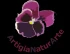 Logo Artigianaturarte 