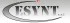 Logo Cesynt Srl