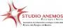 Logo Studio Psicologico Anemos