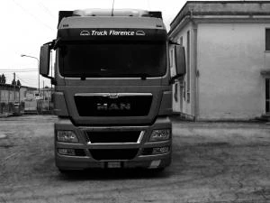 Logo Autotrasporti f.lli Paladini & C. Snc