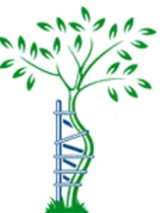 Logo Ortopedia Laura Di Grosso Laura