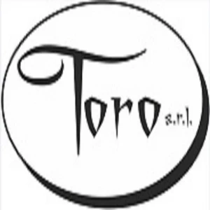 Logo Toro Srl