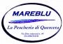 Logo Pescheria Mareblu
