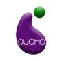 Logo Audha Srl