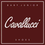 Logo Cavallucci Srl