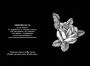 Logo Onoranze Funebri La Rosa F.M Srl