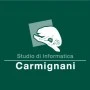 Logo Studio di Informatica Carmignani Srls