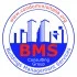 Logo B.M.S. Consulting Group