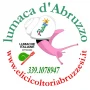 Logo Elicicoltori Abruzzesi di Antonello Gialloreto