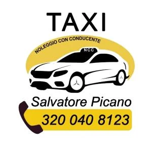 Logo Picano Salvatore
