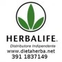 Logo Alessandra Dabosio Distributore Herbalife
