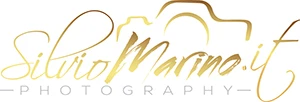 Logo Silvio Marino