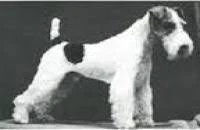 Logo Talus dei F.lli Di Pompeo & C. Snc