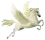 Logo Ferrari Gaetano