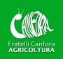 Logo Canfora Ottavio