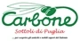 Logo Carbone Sas