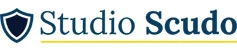 Logo Scudo Data And Services Srl   