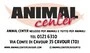 Logo Animal Center di Rizzo Carlo