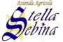Logo Azienda Agricola Stella Sebina