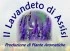Logo Il Lavandeto di Assisi