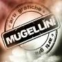 Logo Mugellini Fabio
