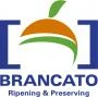 Logo Domenico Brancato di F.sco Brancato & C. Snc