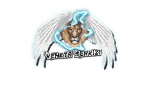 Logo Veneta Servizi Sas