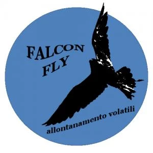 Logo Falcon Fly